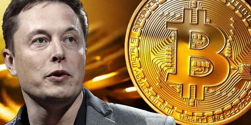 what crypto platform does elon musk use