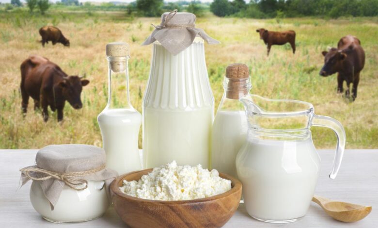 Chinese Etrepreneurs interested in investing in buffalo milk sector